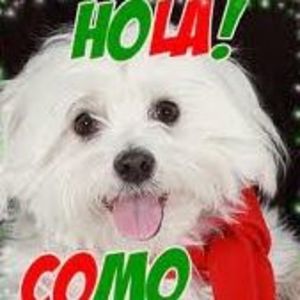 Meet your Posher, Daniela